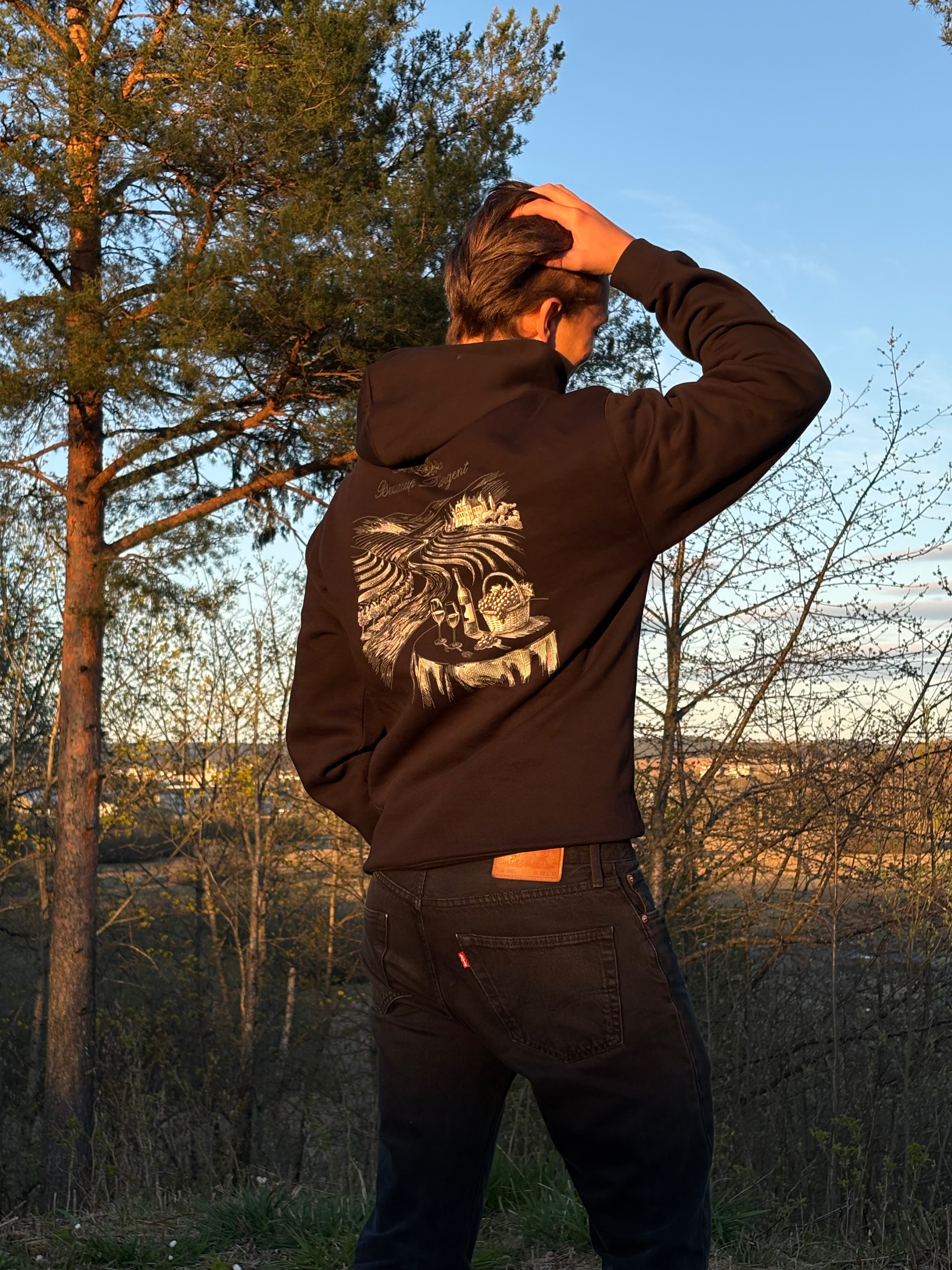 Beaucoup D'argent Hoodie