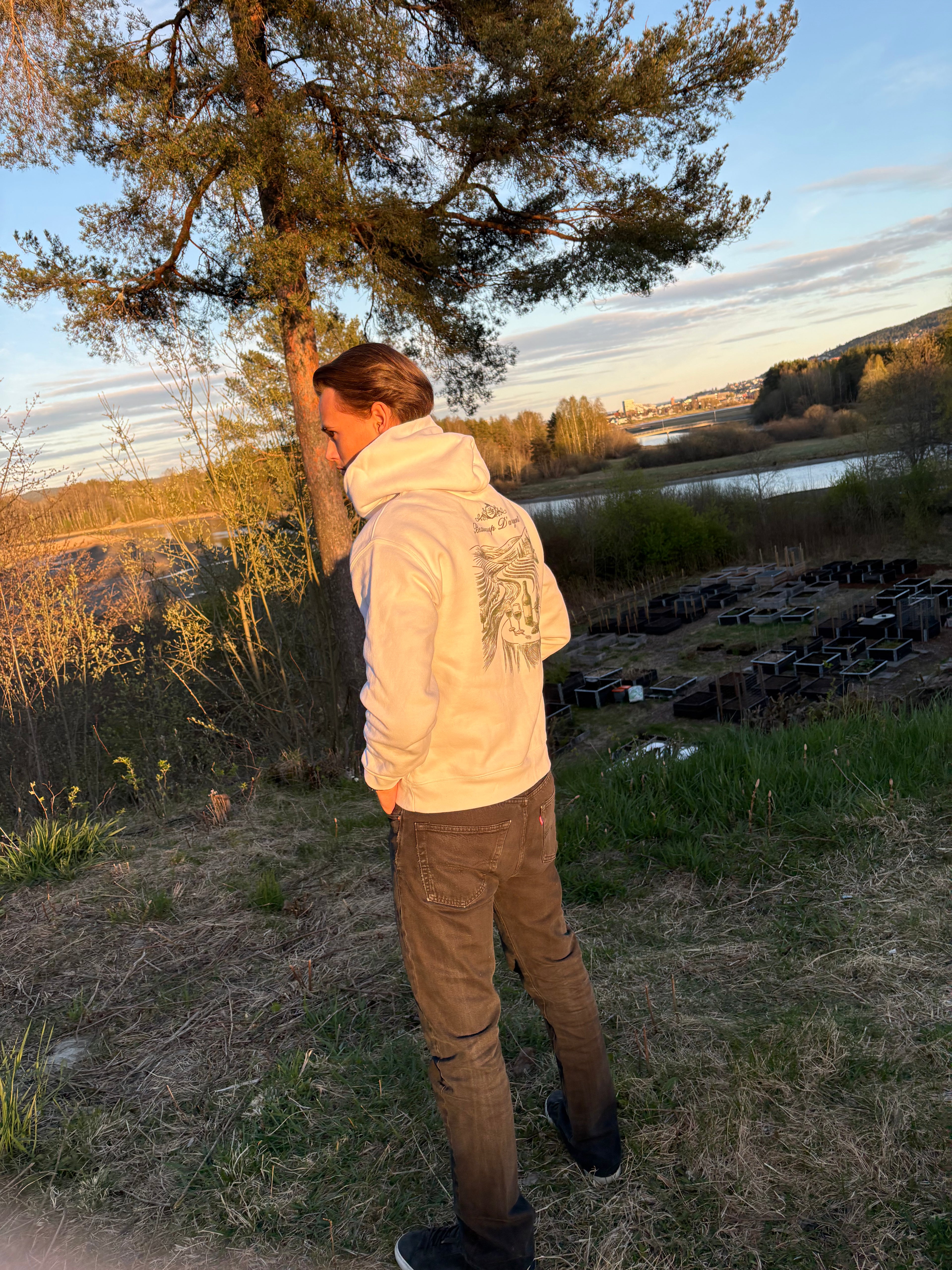 Beaucoup D'argent Hoodie