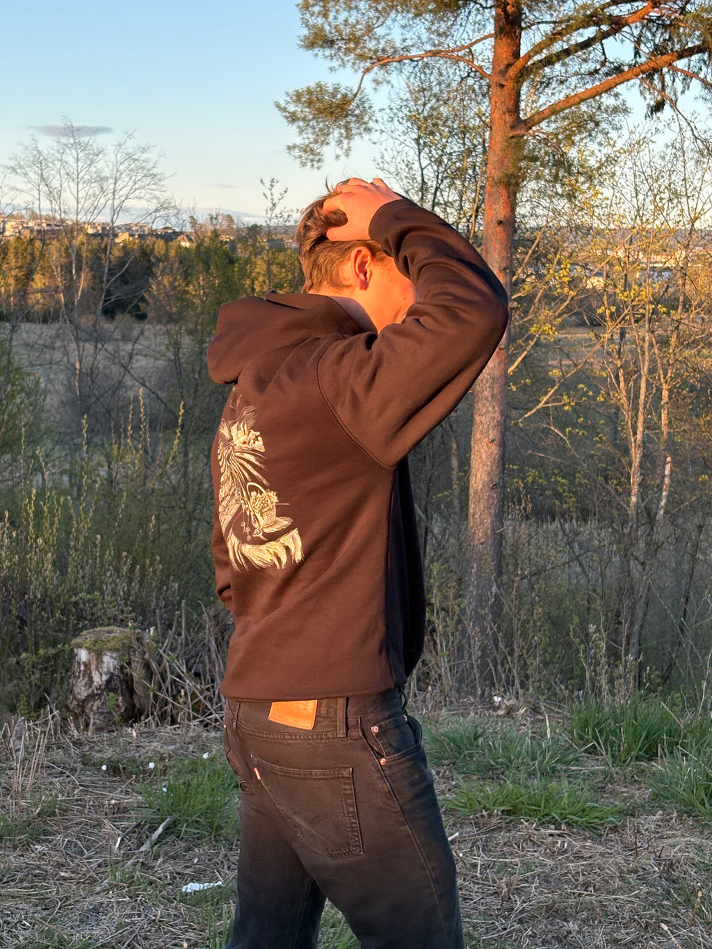Beaucoup D'argent Hoodie